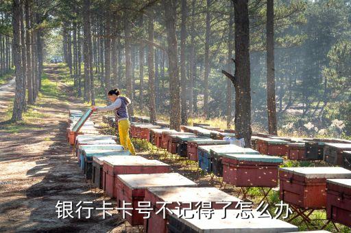 自己的銀行卡號忘記了怎么辦，忘了銀行卡號怎么辦啊