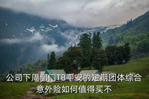 平安白領(lǐng)意外險(xiǎn)怎么樣，公司下周部門TB平安的短期團(tuán)體綜合意外險(xiǎn)如何值得買不