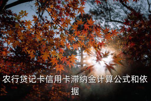 農(nóng)行貸記卡信用卡滯納金計算公式和依據(jù)