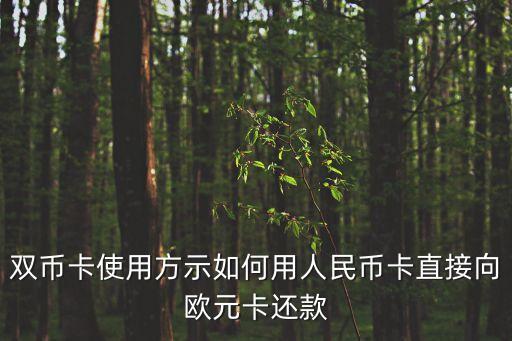 浦發(fā)visa雙幣怎么用，雙幣卡在境外如何使用