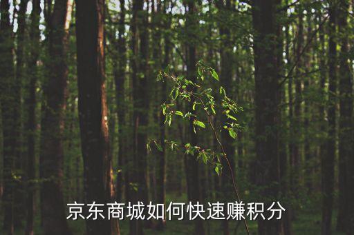京東商城如何快速賺積分