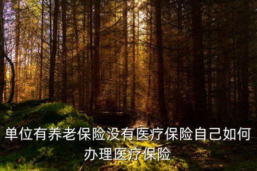 沒有醫(yī)療保險(xiǎn)怎么辦，沒有醫(yī)療保險(xiǎn)怎樣辦