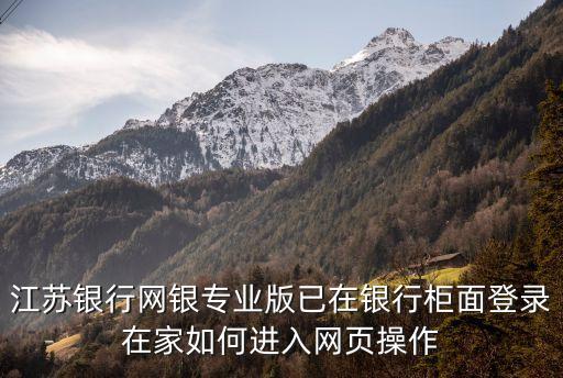 江蘇銀行網(wǎng)銀專業(yè)版已在銀行柜面登錄在家如何進(jìn)入網(wǎng)頁操作