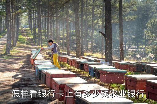 怎么查詢卡里還有多少錢，怎么知道我的銀行卡里還有多少錢