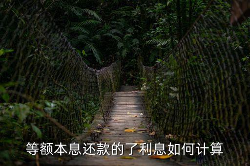 等額本息利息怎么算，等額本息如何計(jì)算