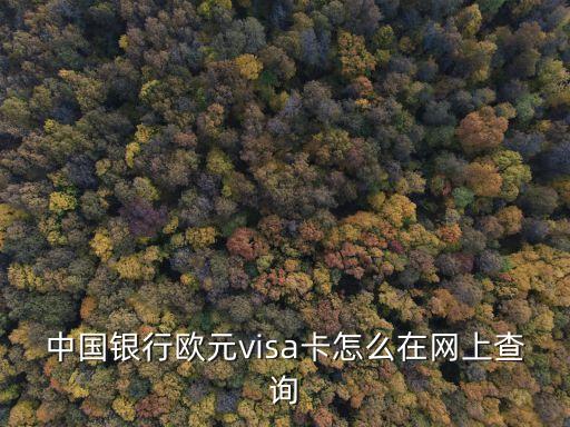visa卡怎么看，VISA卡的正面有該卡的號(hào)碼16位背面有一個(gè)小紙條上面有前述