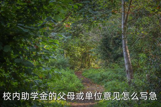 校內(nèi)助學(xué)金的父母或單位意見怎么寫急
