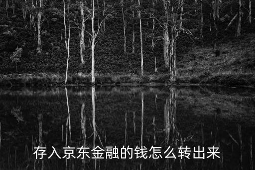 京東金融投資怎么提現，怎樣才能把京東融資里面的錢取出來不理財了