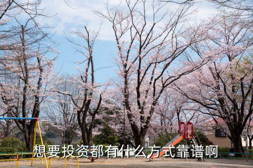 想要投資都有什么方式靠譜啊