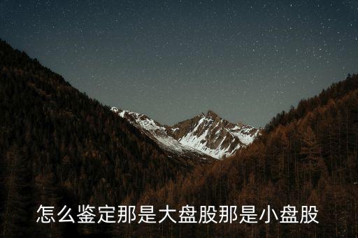 怎么鑒定那是大盤(pán)股那是小盤(pán)股