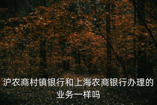 滬農(nóng)商村鎮(zhèn)銀行和上海農(nóng)商銀行辦理的業(yè)務(wù)一樣嗎