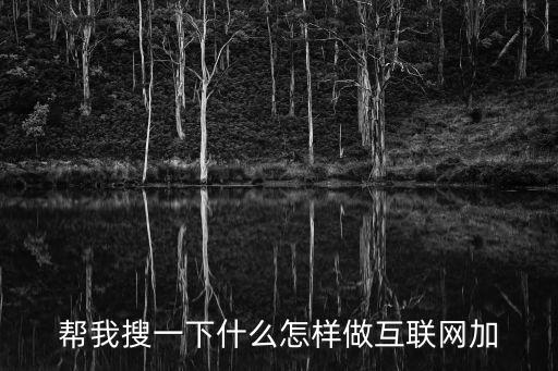 幫我搜一下什么怎樣做互聯(lián)網(wǎng)加