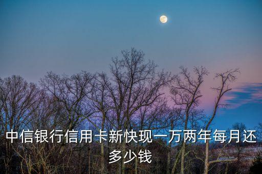 中信銀行信用卡新快現(xiàn)一萬(wàn)兩年每月還多少錢(qián)