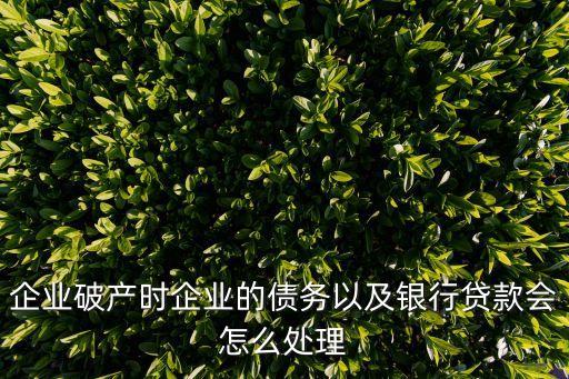 公司破產欠貸款怎么辦，公司破產了 銀行的的貸款沒有還 怎樣辦