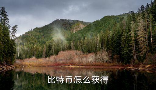 比特幣怎么獲得