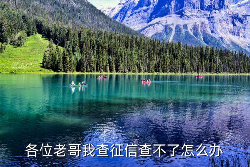 各位老哥我查征信查不了怎么辦