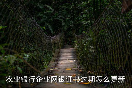 農(nóng)業(yè)銀行企業(yè)網(wǎng)銀證書過期怎么更新