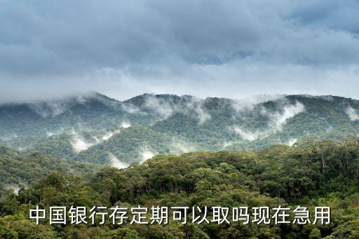 中國銀行存定期怎么取出來嗎，在中國銀行存的半年定期被自動(dòng)轉(zhuǎn)存后如何取出