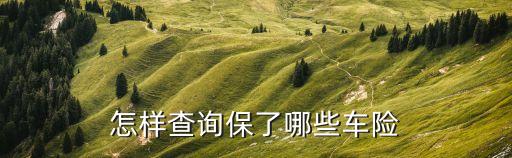 怎么查上了什么車險(xiǎn)，怎么查詢自己的車交什么保險(xiǎn)了