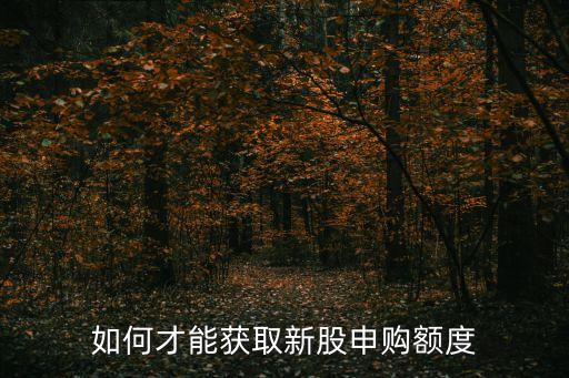 如何才能獲取新股申購額度