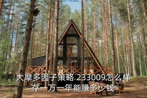 大摩多因子策略 233009怎么樣存一萬(wàn)一年能賺多少錢(qián)