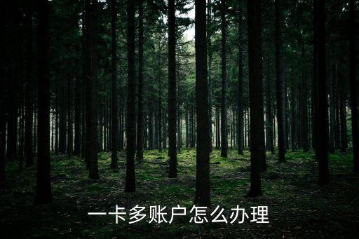 一戶多卡怎么申請(qǐng)，一卡多賬戶怎么辦理