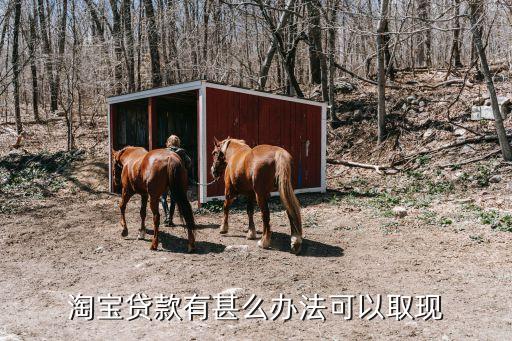 淘寶怎么貸出現(xiàn)金，淘寶貸款有甚么辦法可以取現(xiàn)