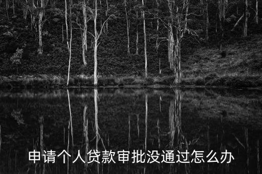 申請個人貸款審批沒通過怎么辦