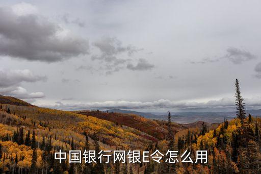 中國e令怎么使用方法，中國銀行e令如何用