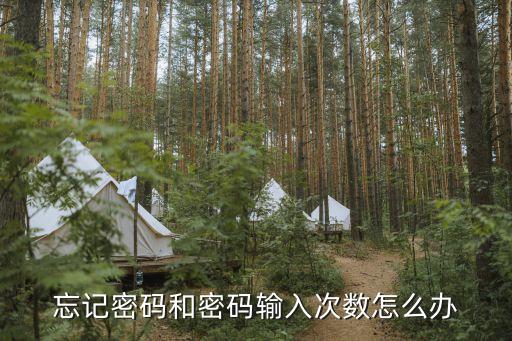 密碼一天輸錯了幾次怎么辦啊，忘記密碼和密碼輸入次數(shù)怎么辦