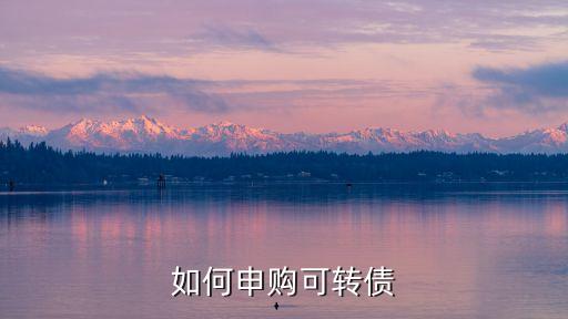 光大銀行可轉債怎么買，如何購買可轉債