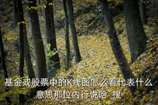 基金或股票中的K線圖怎么看代表什么意思那位內(nèi)行說哈  搜