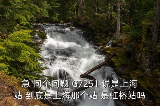 急 問個問題 G7251 說是上海站 到底是上海那個站 是虹橋站嗎