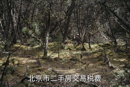 北京市二手房交易稅費(fèi)