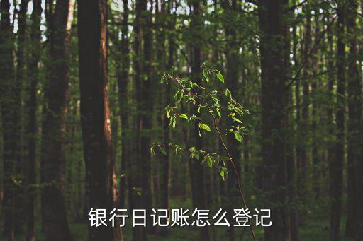 銀行日記賬怎么登記