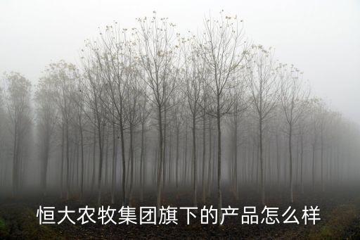 恒大旗下的產(chǎn)品怎么樣，恒大重疾險(xiǎn)好不好