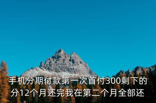 手機分期付款第一次首付300剩下的分12個月還完我在第二個月全部還