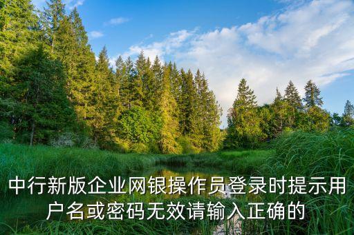 企業(yè)網(wǎng)銀用戶名登陸不了怎么辦，農(nóng)行企業(yè)網(wǎng)銀證書登錄不了怎么辦