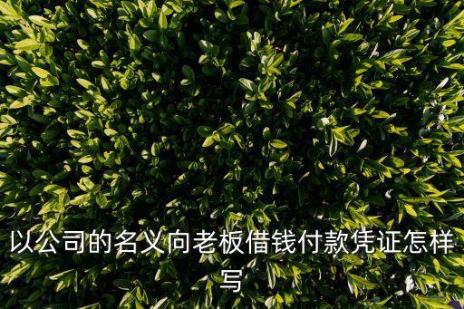 公司向法人借款單據(jù)怎么寫，以公司的名義向老板借錢付款憑證怎樣寫
