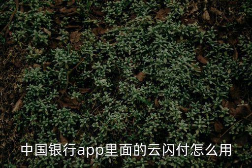 中國(guó)銀行app里面的云閃付怎么用