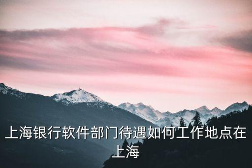 上海銀行軟件部門待遇如何工作地點(diǎn)在上海