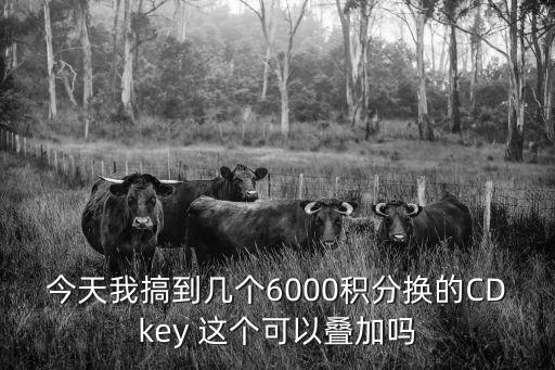 今天我搞到幾個(gè)6000積分換的CDkey 這個(gè)可以疊加嗎
