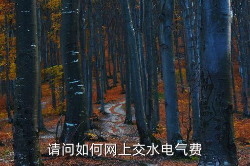 請問如何網(wǎng)上交水電氣費(fèi)