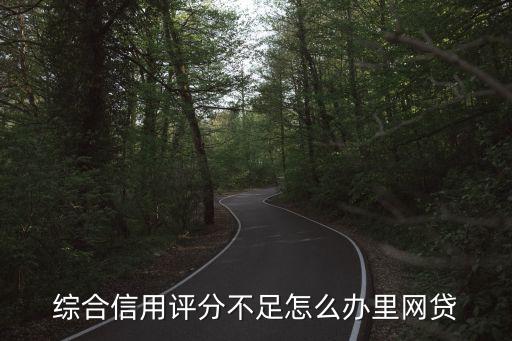 綜合信用評分不足怎么辦里網(wǎng)貸
