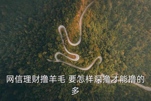 網(wǎng)信理財(cái)擼羊毛 要怎樣深擼才能擼的多