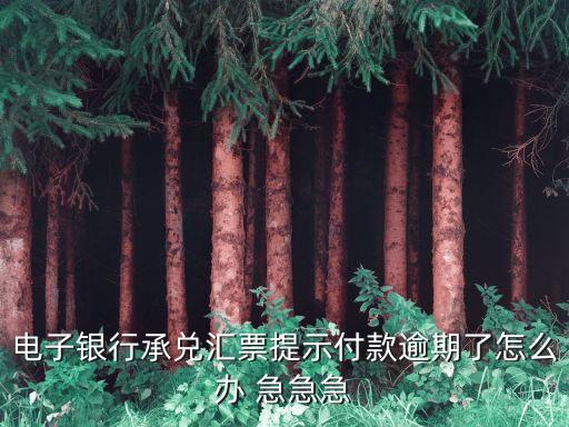 電子銀行承兌匯票提示付款逾期了怎么辦 急急急