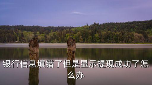 銀行信息填錯(cuò)了但是顯示提現(xiàn)成功了怎么辦