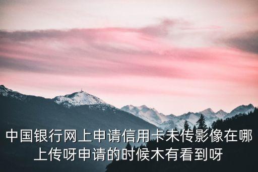 網(wǎng)申信用卡怎么上傳資料，辦信用卡行駛證照片怎么上傳