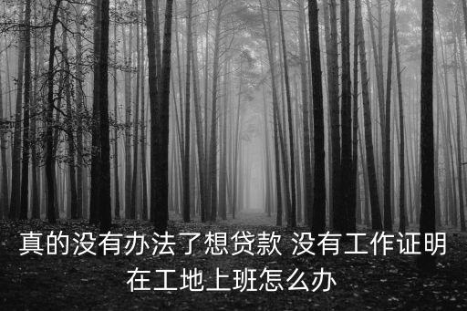 真的沒有辦法了想貸款 沒有工作證明在工地上班怎么辦