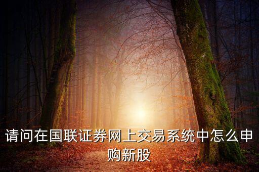 請(qǐng)問在國(guó)聯(lián)證券網(wǎng)上交易系統(tǒng)中怎么申購(gòu)新股